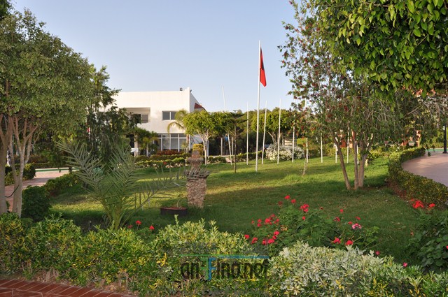 DSC_0104 (نسخ)