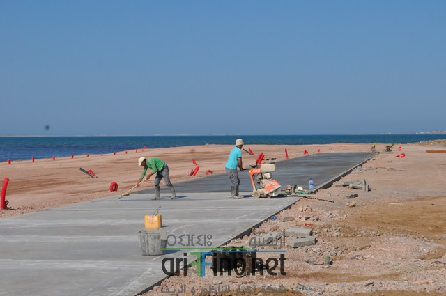 DSC_0111 (نسخ)