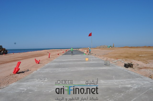 DSC_0113 (نسخ)