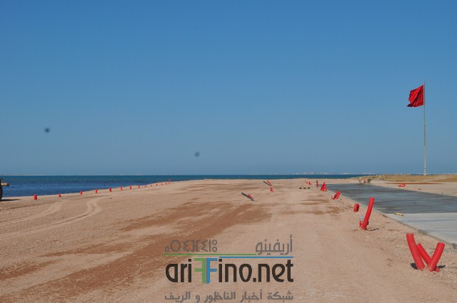 DSC_0117 (نسخ)