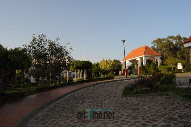 DSC_0118 (نسخ)