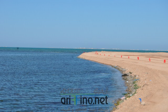 DSC_0121 (نسخ)