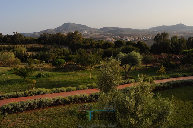 DSC_0121 (نسخ)