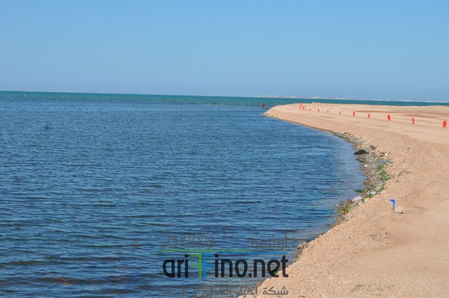 DSC_0123 (نسخ)