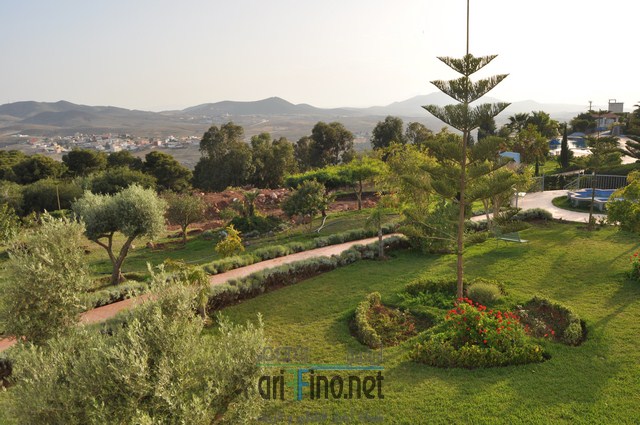 DSC_0123 (نسخ)