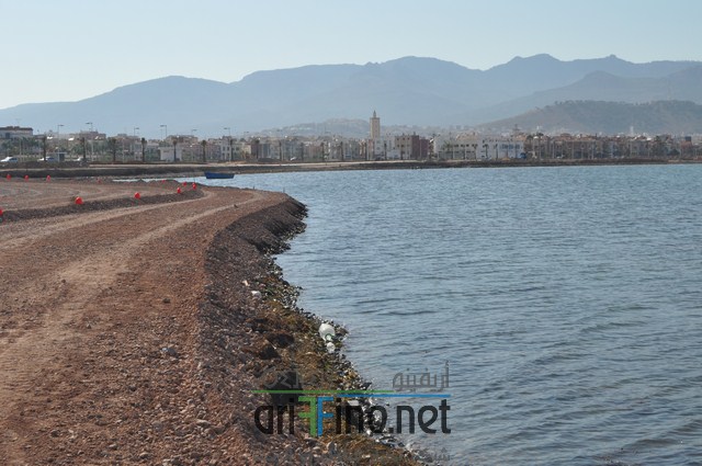 DSC_0124 (نسخ)