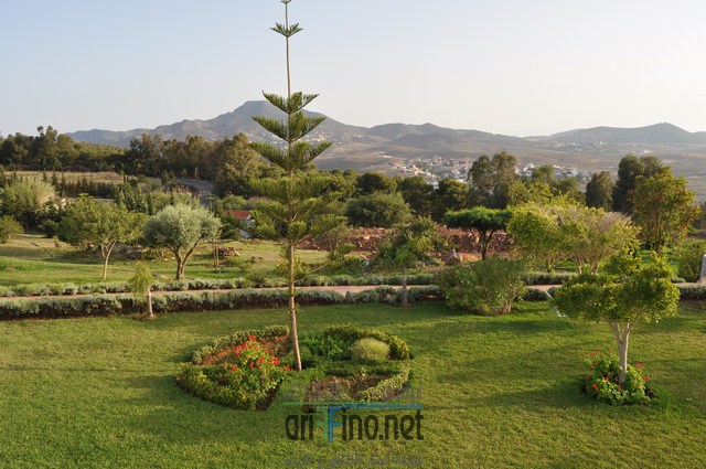 DSC_0125 (نسخ)