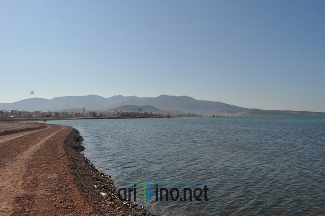 DSC_0126 (نسخ)