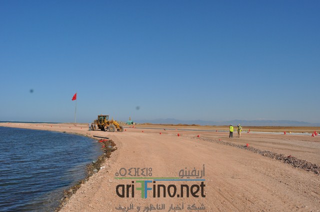 DSC_0127 (نسخ)