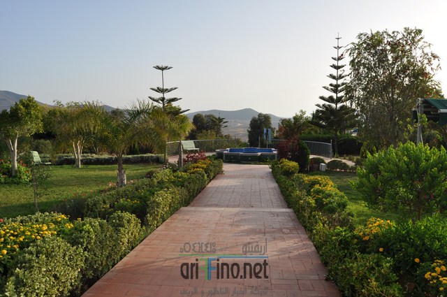 DSC_0129 (نسخ)