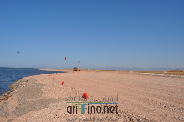 DSC_0132 (نسخ)