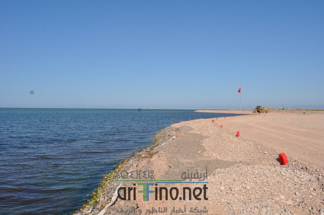 DSC_0133 (نسخ)