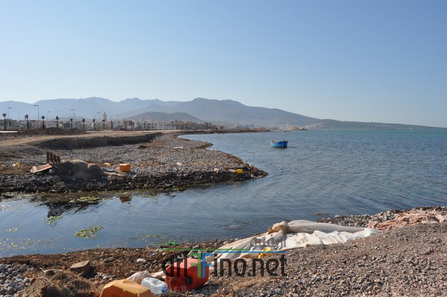DSC_0134 (نسخ)