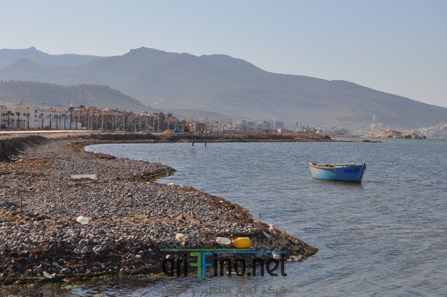 DSC_0135 (نسخ)