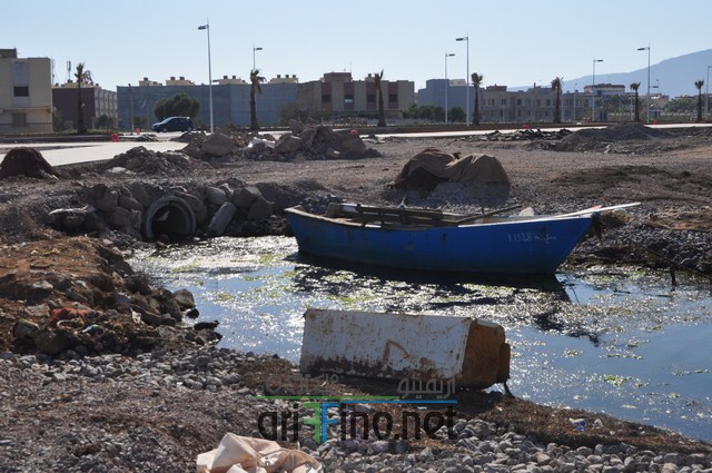 DSC_0136 (نسخ)