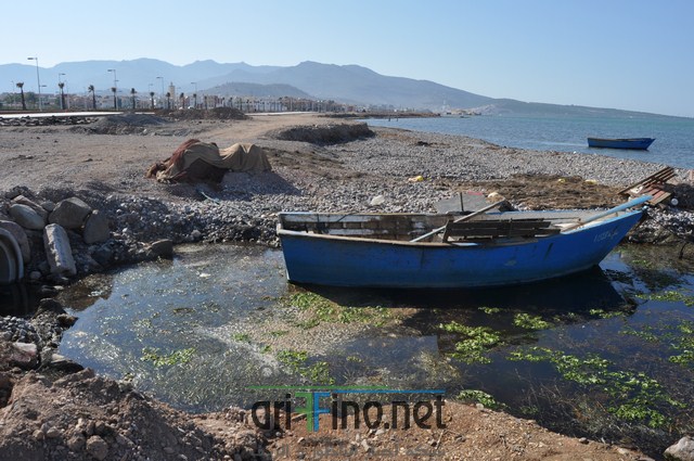 DSC_0137 (نسخ)