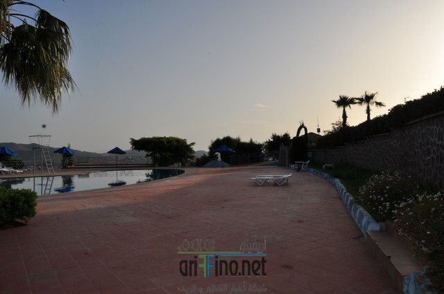 DSC_0140 (نسخ)