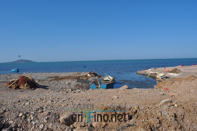 DSC_0141 (نسخ)
