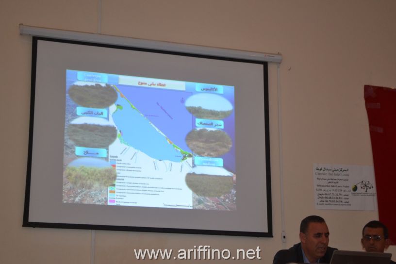 https://new.ariffino.netDSC_0141DSC_0141DSC_0141JPGDSC_0141