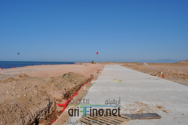 DSC_0142 (نسخ)