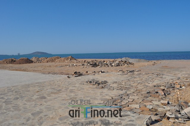 DSC_0145 (نسخ)
