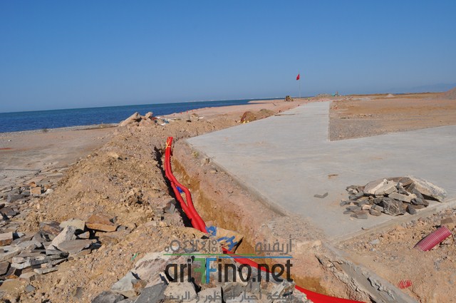 DSC_0146 (نسخ)