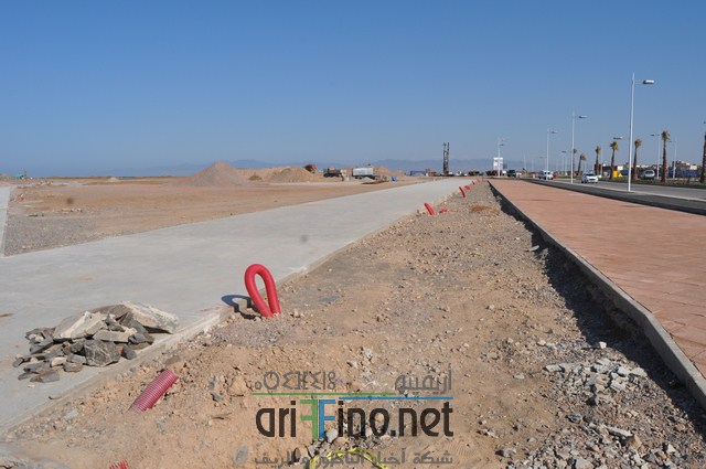 DSC_0147 (نسخ)