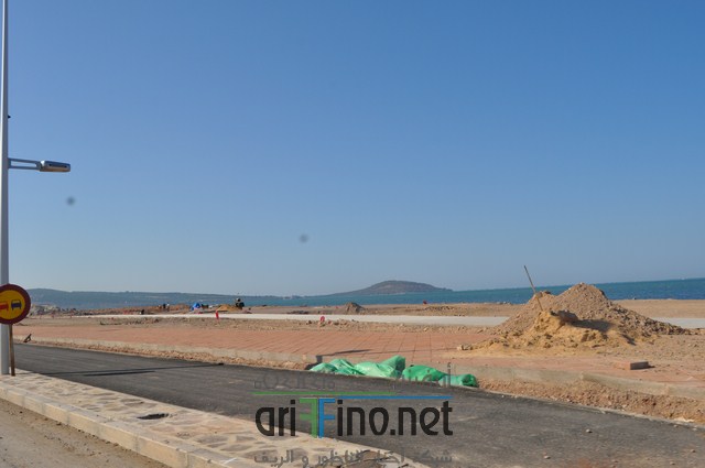 DSC_0149 (نسخ)