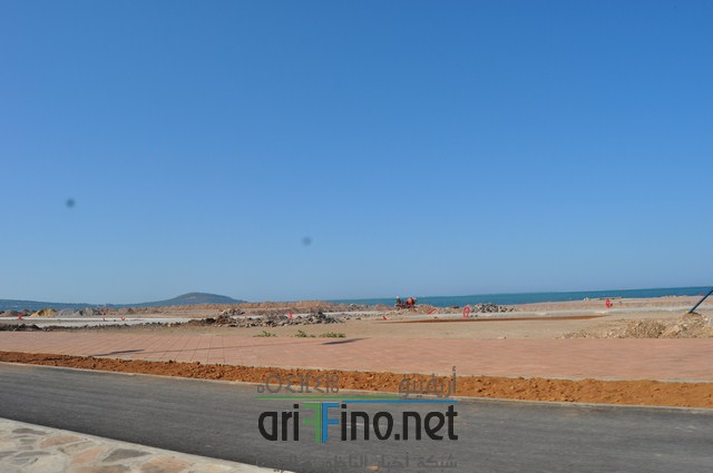 DSC_0154 (نسخ)