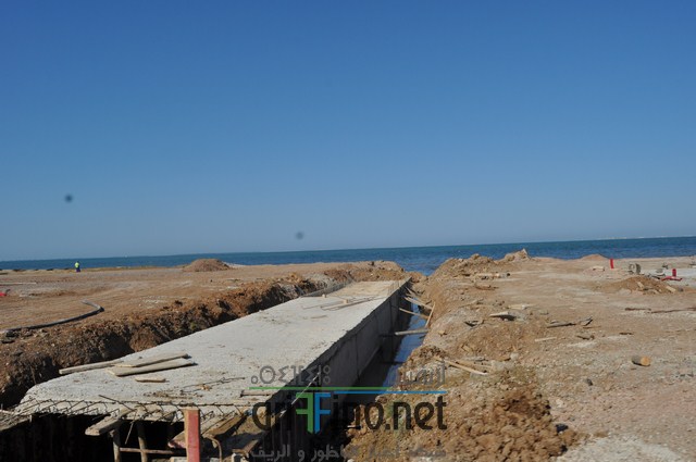 DSC_0162 (نسخ)