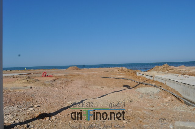 DSC_0163 (نسخ)