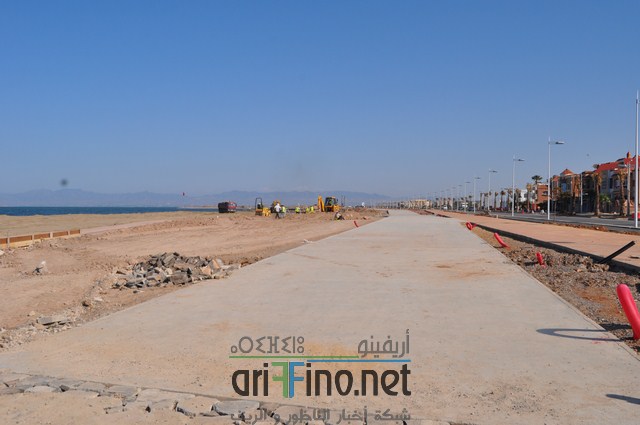 DSC_0174 (نسخ)