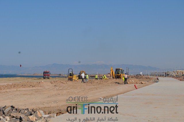 DSC_0175 (نسخ)