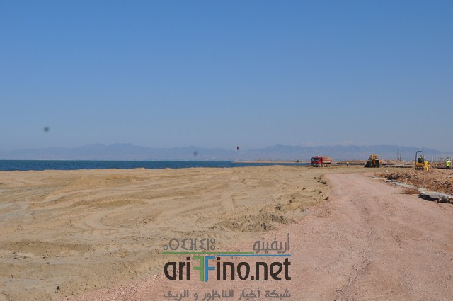 DSC_0177 (نسخ)