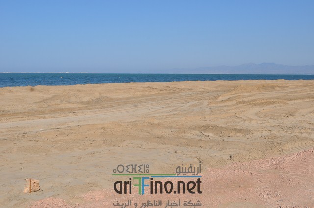 DSC_0178 (نسخ)