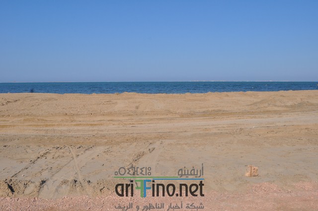 DSC_0179 (نسخ)