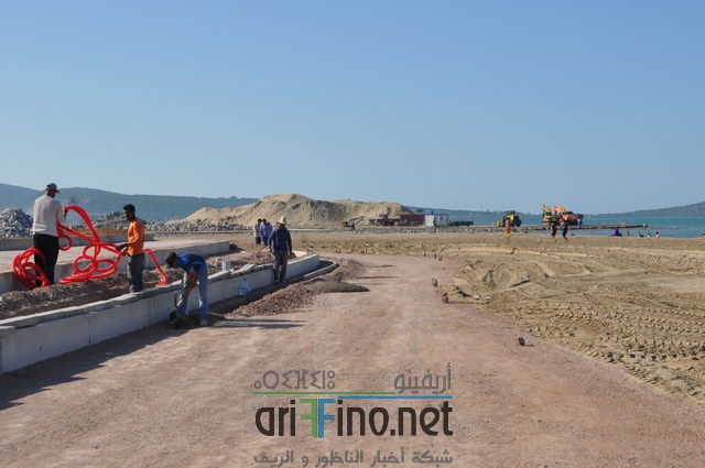DSC_0181 (نسخ)