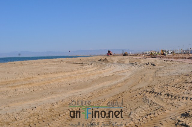 DSC_0182 (نسخ)