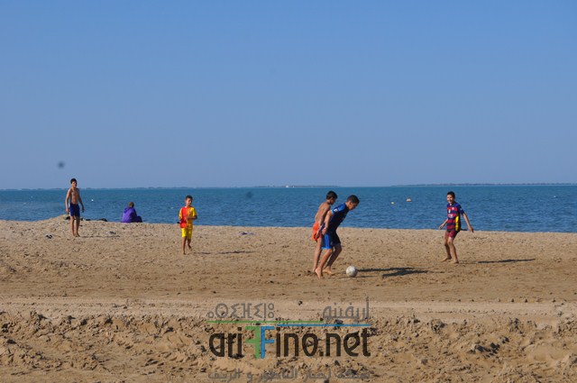 DSC_0196 (نسخ)