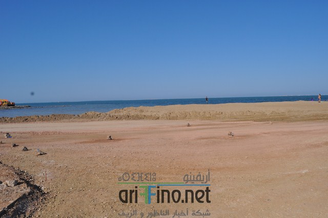 DSC_0202 (نسخ)