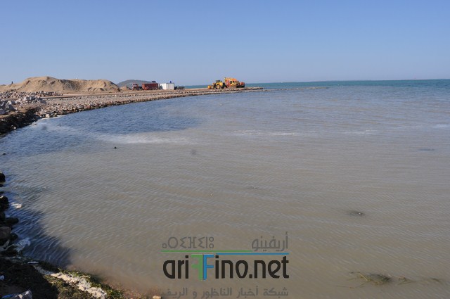 DSC_0205 (نسخ)