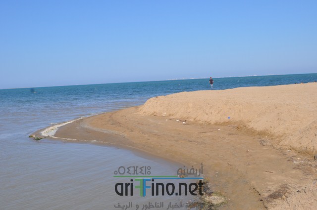 DSC_0206 (نسخ)