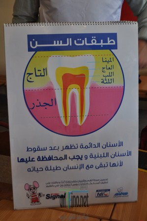 DSC_0243 (نسخ)