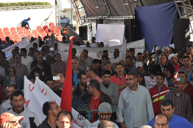 DSC_0284 (نسخ)