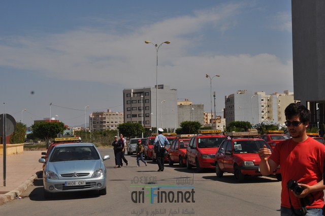 DSC_0286 (نسخ)