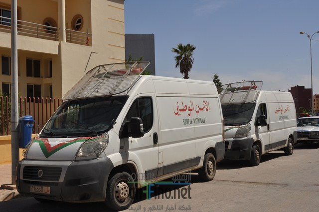 DSC_0291 (نسخ)