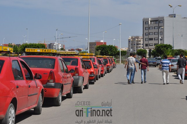 DSC_0298 (نسخ)