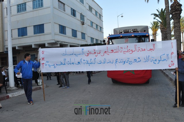 DSC_0299 (نسخ)