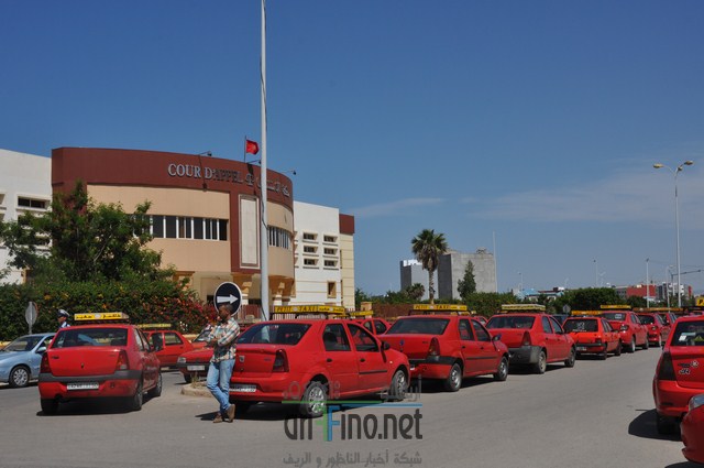 DSC_0300 (نسخ)