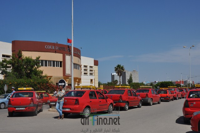 DSC_0301 (نسخ)